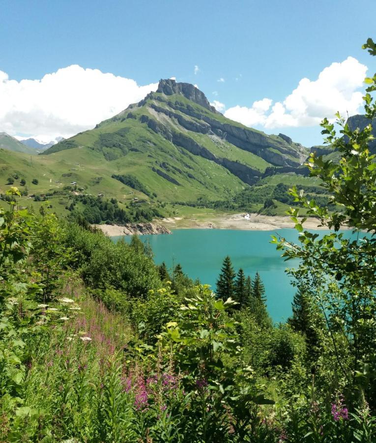 Chalet De Roselend Beaufort (Savoie) Exterior foto